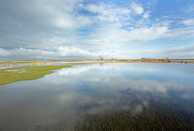 BUITEN BEELD Foto: 365719