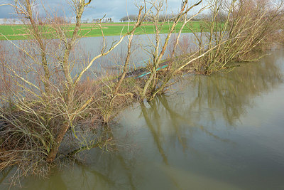 BUITEN BEELD Foto: 365723