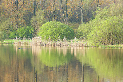 BUITEN BEELD Foto: 365727