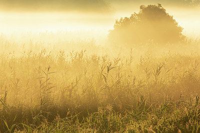 BUITEN BEELD Foto: 365734