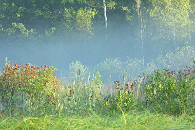 BUITEN BEELD Foto: 365735