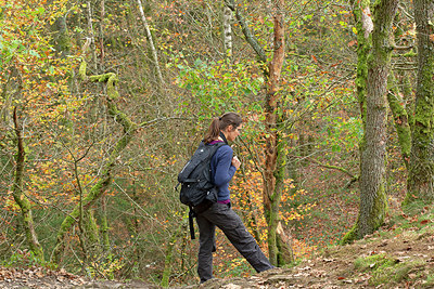 BUITEN BEELD Foto: 365755