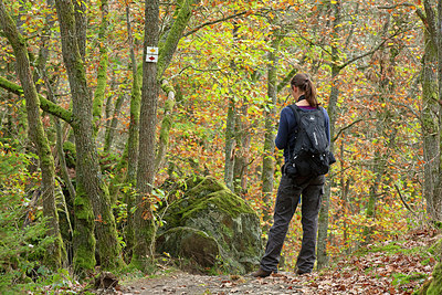 BUITEN BEELD Foto: 365756