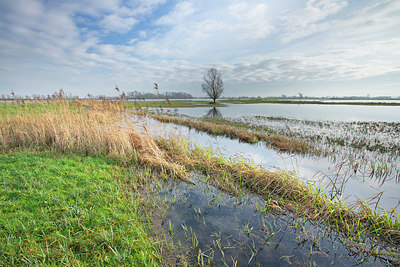 BUITEN BEELD Foto: 365766