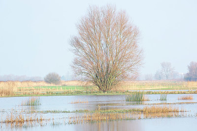 BUITEN BEELD Foto: 365767