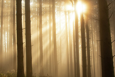 BUITEN BEELD Foto: 365770