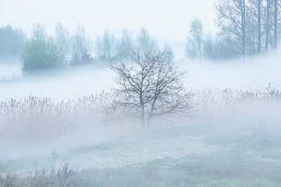 BUITEN BEELD Foto: 365772