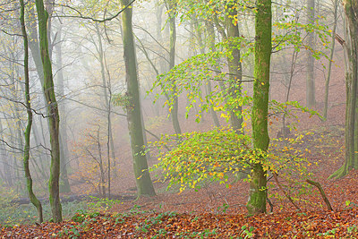 BUITEN BEELD Foto: 365779