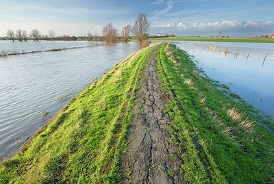 BUITEN BEELD Foto: 365786