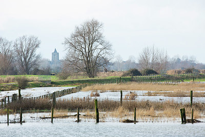 BUITEN BEELD Foto: 365788