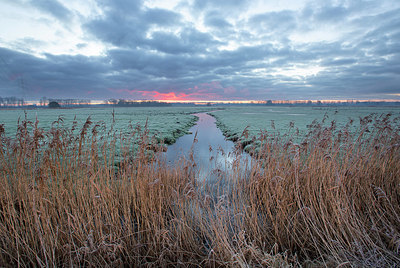 BUITEN BEELD Foto: 365792