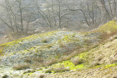 BUITEN BEELD Foto: 365796