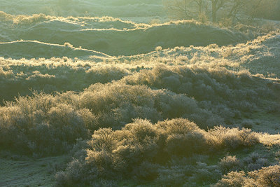 BUITEN BEELD Foto: 365798