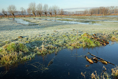 BUITEN BEELD Foto: 365803