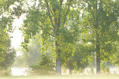 BUITEN BEELD Foto: 365809