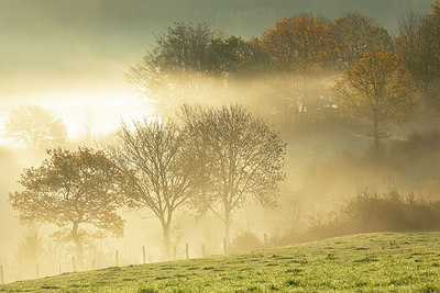 BUITEN BEELD Foto: 365819