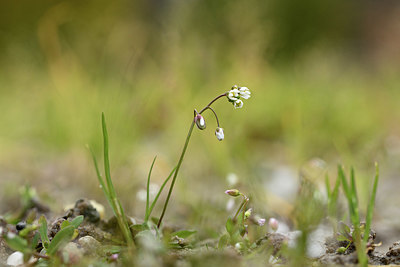 BUITEN BEELD Foto: 365837