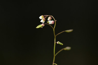 BUITEN BEELD Foto: 365839