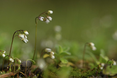 BUITEN BEELD Foto: 365844