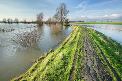 BUITEN BEELD Foto: 365872