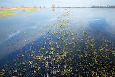 BUITEN BEELD Foto: 365876