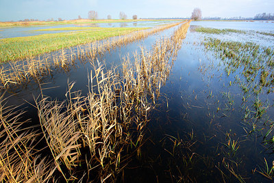 BUITEN BEELD Foto: 365877