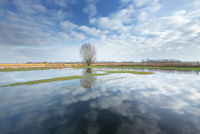 BUITEN BEELD Foto: 365878