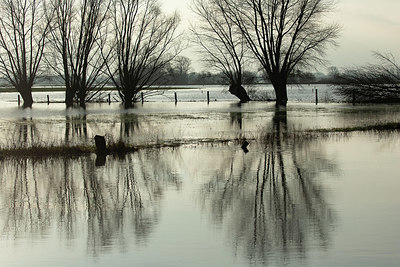 BUITEN BEELD Foto: 365879