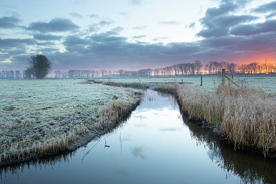 BUITEN BEELD Foto: 365884