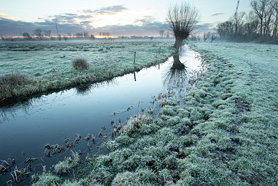 BUITEN BEELD Foto: 365887