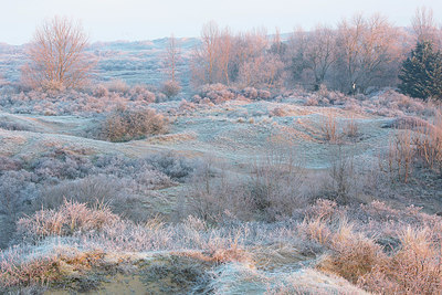 BUITEN BEELD Foto: 365888