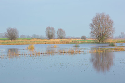 BUITEN BEELD Foto: 365896