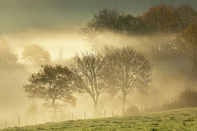 BUITEN BEELD Foto: 365917