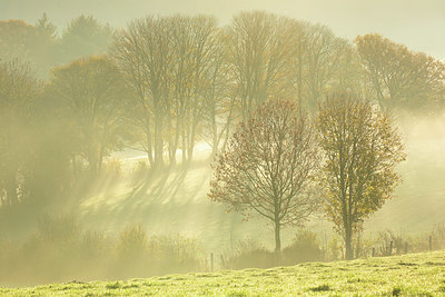 BUITEN BEELD Foto: 365919