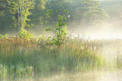 BUITEN BEELD Foto: 365943