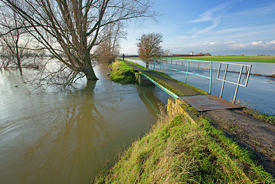 BUITEN BEELD Foto: 365951