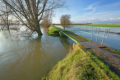 BUITEN BEELD Foto: 365951