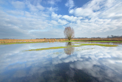 BUITEN BEELD Foto: 365961