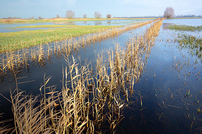 BUITEN BEELD Foto: 365962