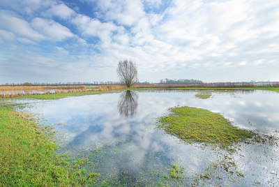 BUITEN BEELD Foto: 365963