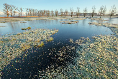 BUITEN BEELD Foto: 365967