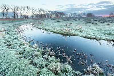 BUITEN BEELD Foto: 365968