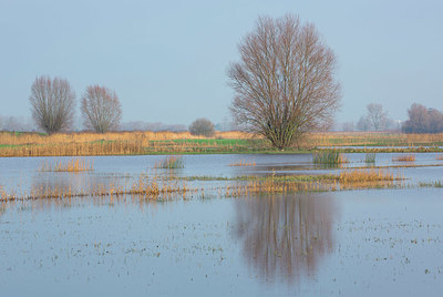 BUITEN BEELD Foto: 365975