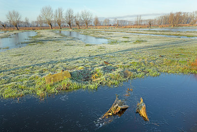 BUITEN BEELD Foto: 365978