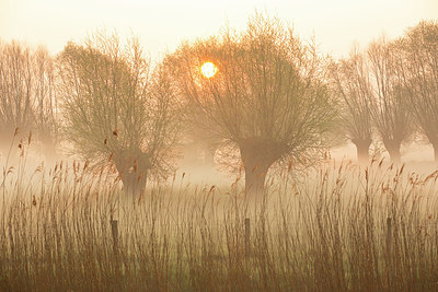 BUITEN BEELD Foto: 365991