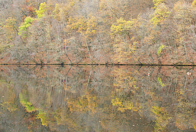 BUITEN BEELD Foto: 365992