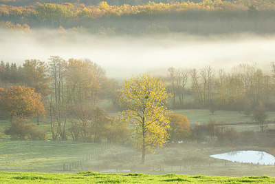 BUITEN BEELD Foto: 365997