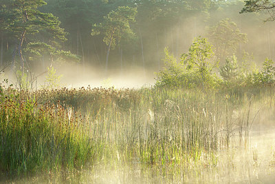 BUITEN BEELD Foto: 366039