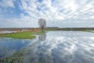 BUITEN BEELD Foto: 366041