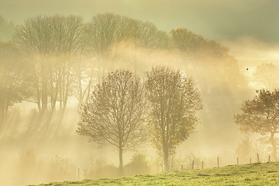 BUITEN BEELD Foto: 366044